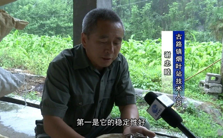 緊緊抓住木屑造粒機(jī)生物質(zhì)顆粒燃料加工場地建設(shè)項目落地的契機(jī)，找準(zhǔn)結(jié)合點，推動共和綜合服務(wù)型煙農(nóng)專業(yè)合作社與生物質(zhì)顆粒燃料加工廠的緊密合作.jpg